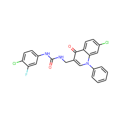 O=C(NCc1cn(-c2ccccc2)c2cc(Cl)ccc2c1=O)Nc1ccc(Cl)c(F)c1 ZINC000096170294