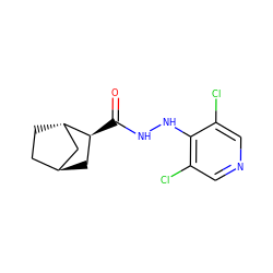 O=C(NNc1c(Cl)cncc1Cl)[C@H]1C[C@H]2CC[C@H]1C2 ZINC000261074666