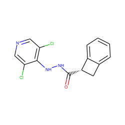 O=C(NNc1c(Cl)cncc1Cl)[C@H]1Cc2ccccc21 ZINC000084757362