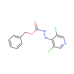 O=C(NNc1c(Cl)cncc1Cl)OCc1ccccc1 ZINC000084654755