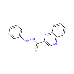 O=C(NNc1ccccc1)c1cnc2ccccc2n1 ZINC000064513808