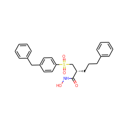 O=C(NO)[C@@H](CCCc1ccccc1)CS(=O)(=O)c1ccc(Cc2ccccc2)cc1 ZINC000029247553