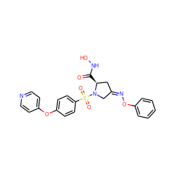 O=C(NO)[C@H]1C/C(=N/Oc2ccccc2)CN1S(=O)(=O)c1ccc(Oc2ccncc2)cc1 ZINC000027625914