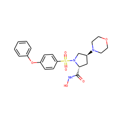 O=C(NO)[C@H]1C[C@H](N2CCOCC2)CN1S(=O)(=O)c1ccc(Oc2ccccc2)cc1 ZINC000013835748