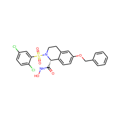 O=C(NO)[C@H]1c2ccc(OCc3ccccc3)cc2CCN1S(=O)(=O)c1cc(Cl)ccc1Cl ZINC000013588272