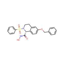 O=C(NO)[C@H]1c2ccc(OCc3ccccc3)cc2CCN1S(=O)(=O)c1ccccc1 ZINC000013588266