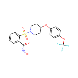 O=C(NO)c1ccccc1S(=O)(=O)N1CCC(Oc2ccc(OC(F)(F)F)cc2)CC1 ZINC000026503084