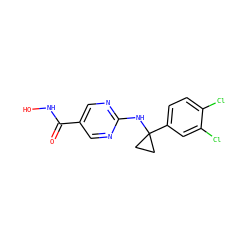 O=C(NO)c1cnc(NC2(c3ccc(Cl)c(Cl)c3)CC2)nc1 ZINC000146013690