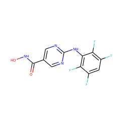 O=C(NO)c1cnc(Nc2c(F)c(F)cc(F)c2F)nc1 ZINC000166608317