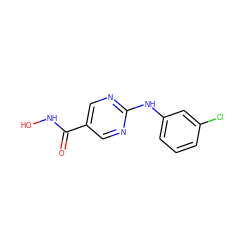 O=C(NO)c1cnc(Nc2cccc(Cl)c2)nc1 ZINC000166674600