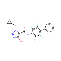 O=C(Nc1c(F)c(F)c(-c2ccccc2)c(F)c1F)c1c(O)nnn1CC1CC1 ZINC001772646071