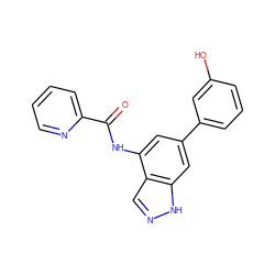 O=C(Nc1cc(-c2cccc(O)c2)cc2[nH]ncc12)c1ccccn1 ZINC000113874564