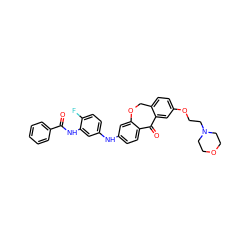 O=C(Nc1cc(Nc2ccc3c(c2)OCc2ccc(OCCN4CCOCC4)cc2C3=O)ccc1F)c1ccccc1 ZINC000098208855