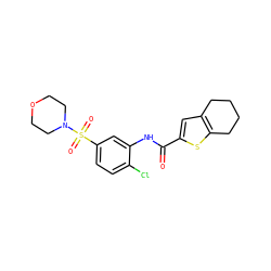 O=C(Nc1cc(S(=O)(=O)N2CCOCC2)ccc1Cl)c1cc2c(s1)CCCC2 ZINC000012564070