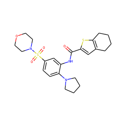 O=C(Nc1cc(S(=O)(=O)N2CCOCC2)ccc1N1CCCC1)c1cc2c(s1)CCCC2 ZINC000012543497