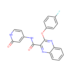 O=C(Nc1cc[nH]c(=O)c1)c1nc2ccccc2nc1Oc1ccc(F)cc1 ZINC000143156451