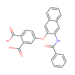 O=C(Nc1cc2ccccc2cc1Oc1ccc(C(=O)O)c(C(=O)O)c1)c1ccccc1 ZINC000013587594