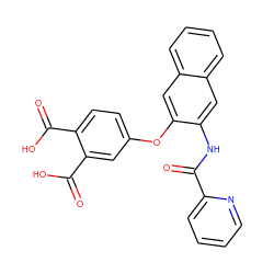 O=C(Nc1cc2ccccc2cc1Oc1ccc(C(=O)O)c(C(=O)O)c1)c1ccccn1 ZINC000013587596