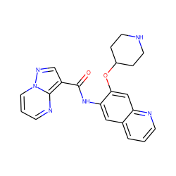 O=C(Nc1cc2cccnc2cc1OC1CCNCC1)c1cnn2cccnc12 ZINC000113651608