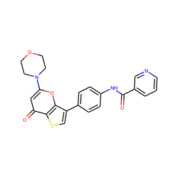 O=C(Nc1ccc(-c2csc3c(=O)cc(N4CCOCC4)oc23)cc1)c1cccnc1 ZINC000101661908