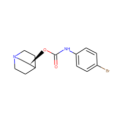O=C(Nc1ccc(Br)cc1)O[C@@H]1CN2CCC1CC2 ZINC000003952892