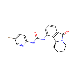 O=C(Nc1ccc(Br)cn1)Nc1cccc2c1[C@@H]1CCCCN1C2=O ZINC000095571706