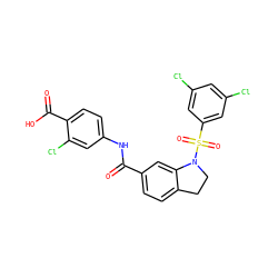 O=C(Nc1ccc(C(=O)O)c(Cl)c1)c1ccc2c(c1)N(S(=O)(=O)c1cc(Cl)cc(Cl)c1)CC2 ZINC000059718145