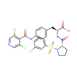 O=C(Nc1ccc(C[C@H](NC(=O)[C@@H]2CCCN2S(=O)(=O)c2cccc(Cl)c2)C(=O)O)cc1)c1c(Cl)cncc1Cl ZINC000029558414