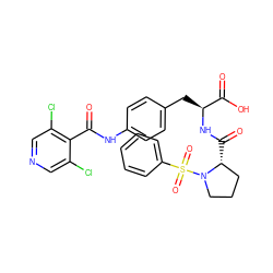 O=C(Nc1ccc(C[C@H](NC(=O)[C@@H]2CCCN2S(=O)(=O)c2ccccc2)C(=O)O)cc1)c1c(Cl)cncc1Cl ZINC000029557222