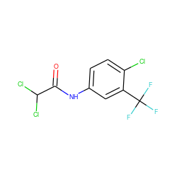 O=C(Nc1ccc(Cl)c(C(F)(F)F)c1)C(Cl)Cl ZINC000005756816