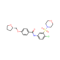 O=C(Nc1ccc(Cl)c(S(=O)(=O)N2CCOCC2)c1)c1ccc(OC[C@@H]2CCCO2)cc1 ZINC000009491047