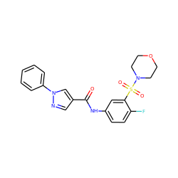 O=C(Nc1ccc(F)c(S(=O)(=O)N2CCOCC2)c1)c1cnn(-c2ccccc2)c1 ZINC000008855909