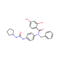 O=C(Nc1ccc(N(Cc2ccccc2)C(=O)c2ccc(O)cc2O)cc1)NC1CCCC1 ZINC000653666918