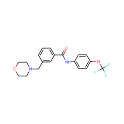 O=C(Nc1ccc(OC(F)(F)F)cc1)c1cccc(CN2CCOCC2)c1 ZINC000068369702