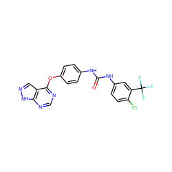 O=C(Nc1ccc(Oc2ncnc3[nH]ncc23)cc1)Nc1ccc(Cl)c(C(F)(F)F)c1 ZINC000095589656