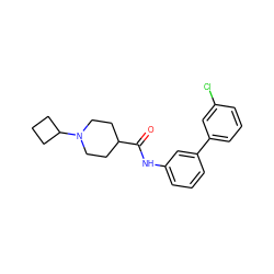 O=C(Nc1cccc(-c2cccc(Cl)c2)c1)C1CCN(C2CCC2)CC1 ZINC000011772522