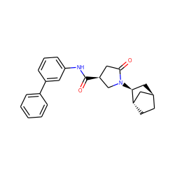 O=C(Nc1cccc(-c2ccccc2)c1)[C@H]1CC(=O)N([C@H]2C[C@H]3CC[C@H]2C3)C1 ZINC000253684393