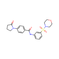 O=C(Nc1cccc(S(=O)(=O)N2CCOCC2)c1)c1ccc(N2CCCC2=O)cc1 ZINC000009510081