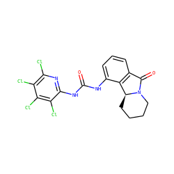 O=C(Nc1cccc2c1[C@@H]1CCCCN1C2=O)Nc1nc(Cl)c(Cl)c(Cl)c1Cl ZINC000095576834