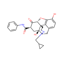 O=C(Nc1ccccc1)[C@@H]1C[C@@]2(O)[C@H]3Cc4ccc(O)c5c4[C@@]2(CCN3CC2CC2)[C@@H](O5)C1=O ZINC000169694443