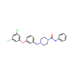 O=C(Nc1ccccc1)N1CCN(Cc2cccc(Oc3cc(Cl)cc(Cl)c3)c2)CC1 ZINC000200260648