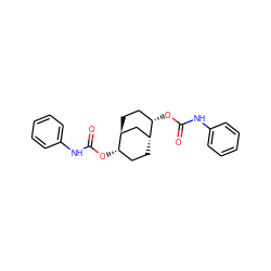 O=C(Nc1ccccc1)O[C@H]1CC[C@@H]2C[C@@H]1CC[C@@H]2OC(=O)Nc1ccccc1 ZINC000100586312