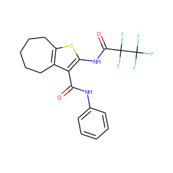 O=C(Nc1ccccc1)c1c(NC(=O)C(F)(F)C(F)(F)F)sc2c1CCCCC2 ZINC001772642471