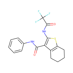 O=C(Nc1ccccc1)c1c(NC(=O)C(F)(F)F)sc2c1CCCC2 ZINC000409111967