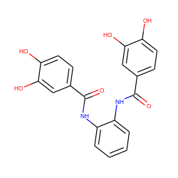 O=C(Nc1ccccc1NC(=O)c1ccc(O)c(O)c1)c1ccc(O)c(O)c1 ZINC000003947997