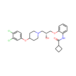 O=C(Nc1ccccc1OC[C@H](O)CN1CCC(Oc2ccc(Cl)c(Cl)c2)CC1)C1CCC1 ZINC000038473704