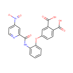 O=C(Nc1ccccc1Oc1ccc(C(=O)O)c(C(=O)O)c1)c1cc([N+](=O)[O-])ccn1 ZINC000013587603