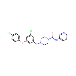 O=C(Nc1cccnc1)N1CCN(Cc2cc(Cl)cc(Oc3ccc(Cl)cc3)c2)CC1 ZINC000653823142