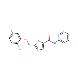 O=C(Nc1cccnc1)c1ccc(COc2cc(Cl)ccc2Cl)o1 ZINC000001083431