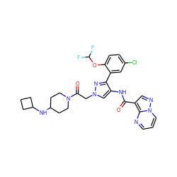 O=C(Nc1cn(CC(=O)N2CCC(NC3CCC3)CC2)nc1-c1cc(Cl)ccc1OC(F)F)c1cnn2cccnc12 ZINC001772639283